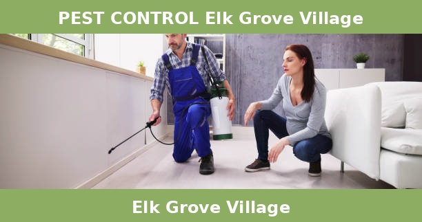 PEST CONTROL Elk Grove Village